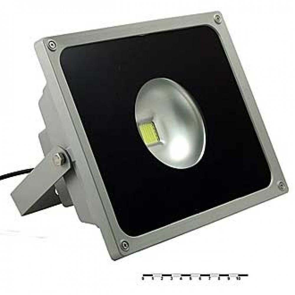 SW-301 50W ip65 (220v)